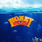 honey bass